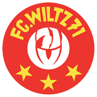 логотип Weidingen