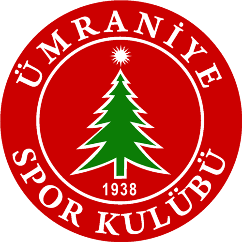 логотип İstanbul