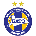 логотип Борисов